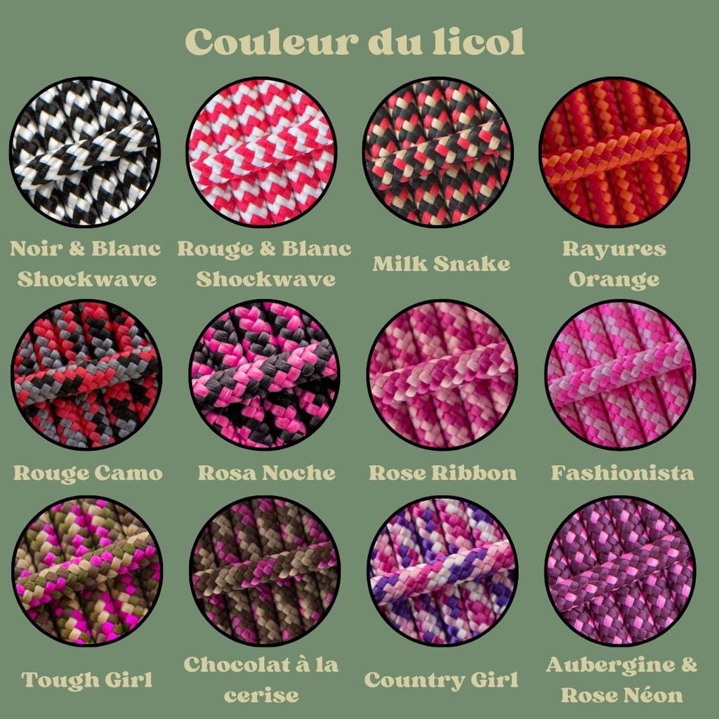 licol personnalisable multicolor