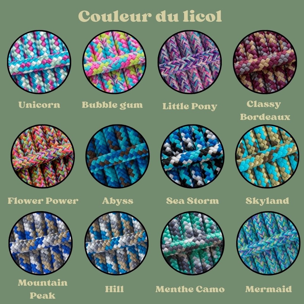 licol personnalisable multicolor