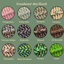 licol personnalisable multicolor