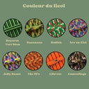 licol personnalisable multicolor