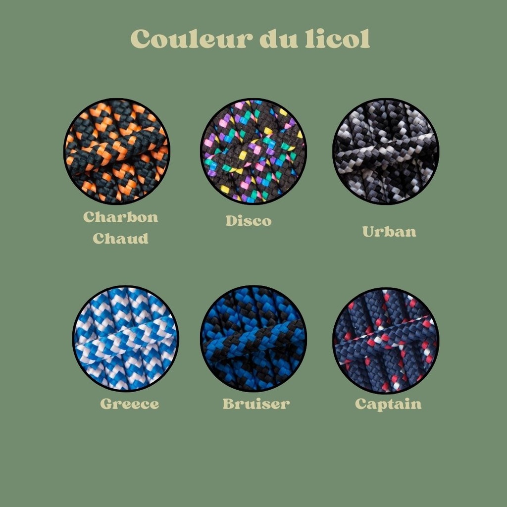 licol personnalisable multicolor