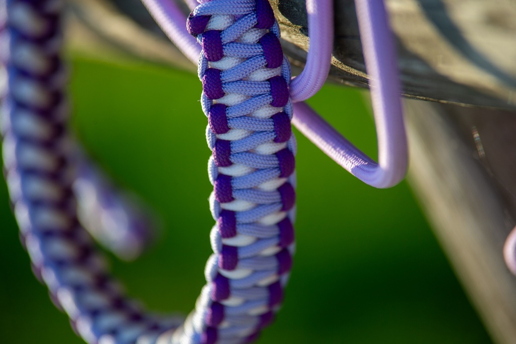 Licol  éthologique "Bright Lilas" tressage Dragon "Violet Acide-Blanc-Lilas"