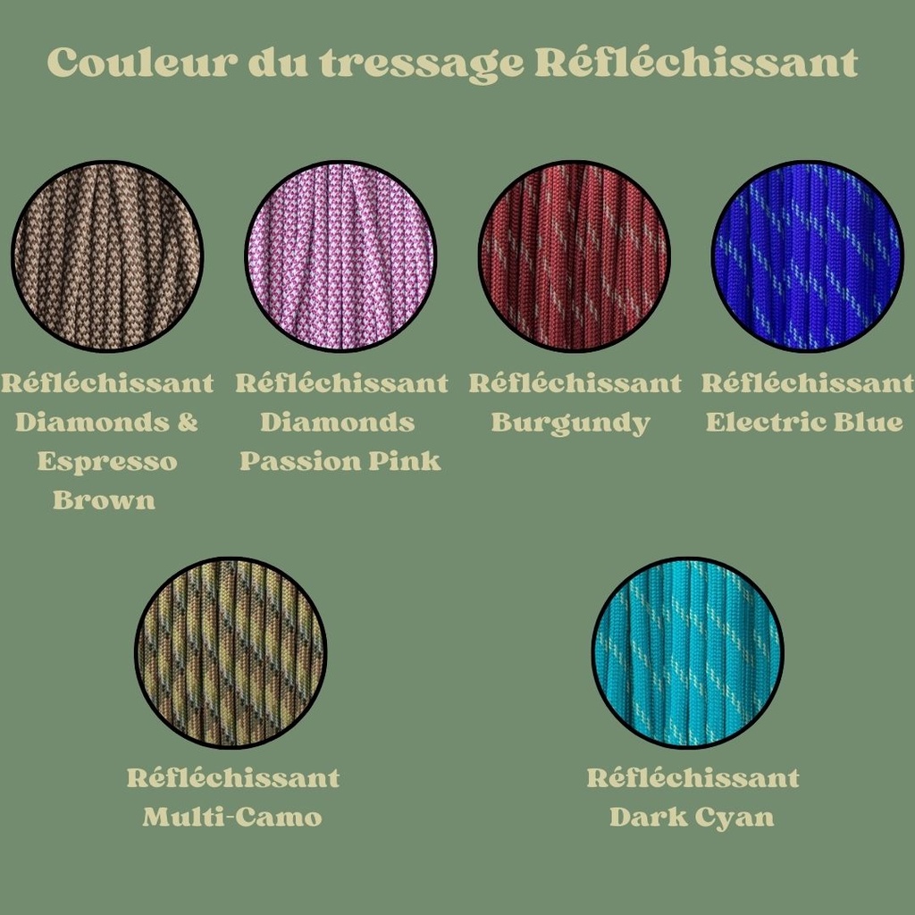 licol personnalisable multicolor